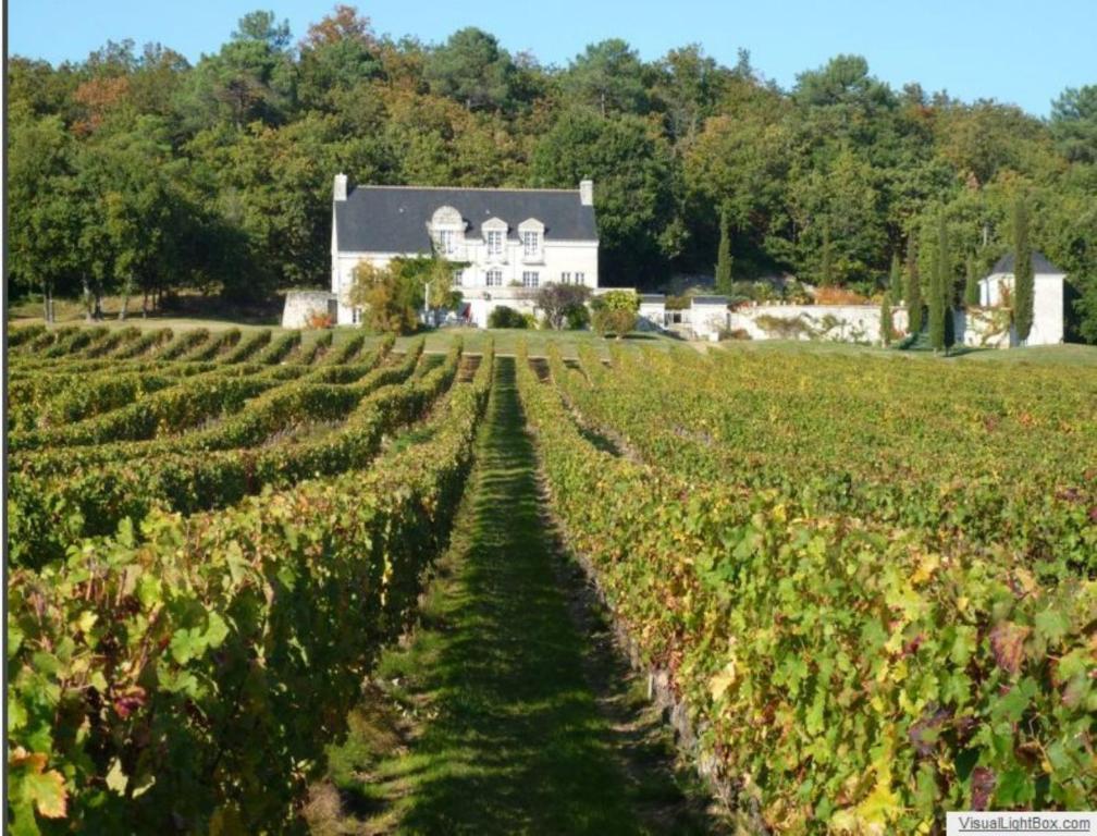 לינה וארוחת בוקר Panzoult Domaine Beausejour מראה חיצוני תמונה